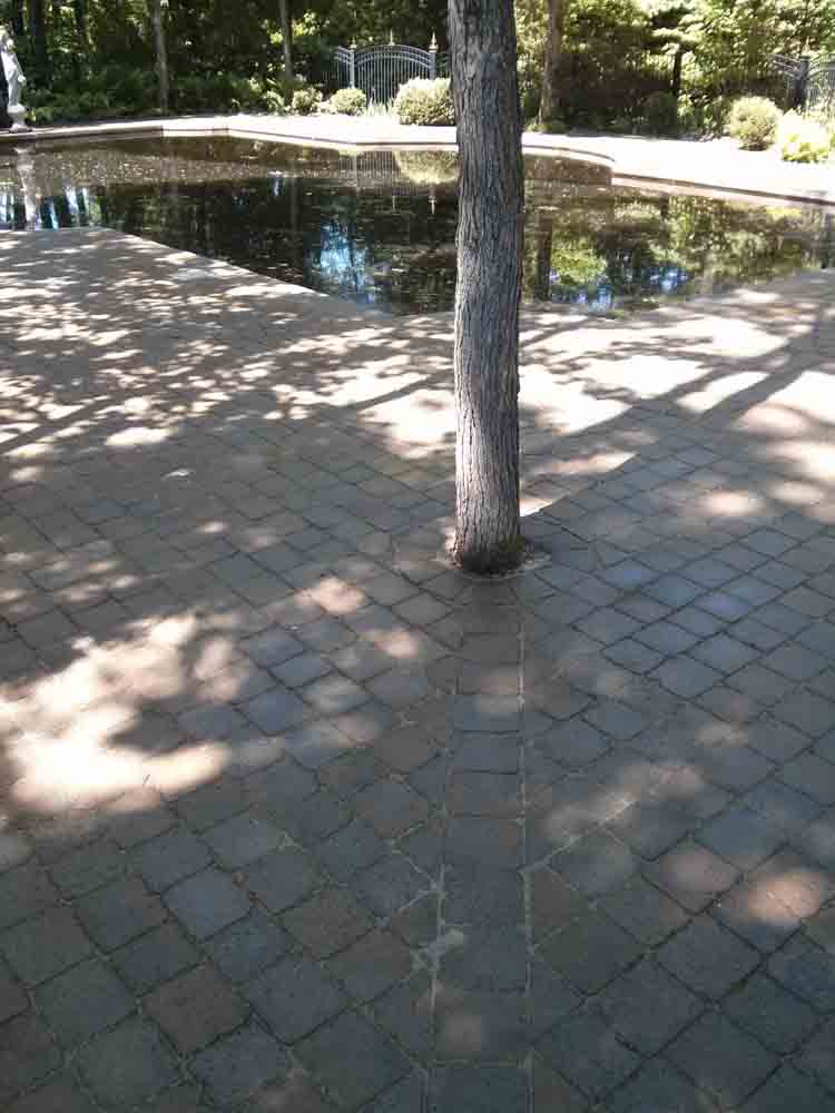 Photo Terrassement 10