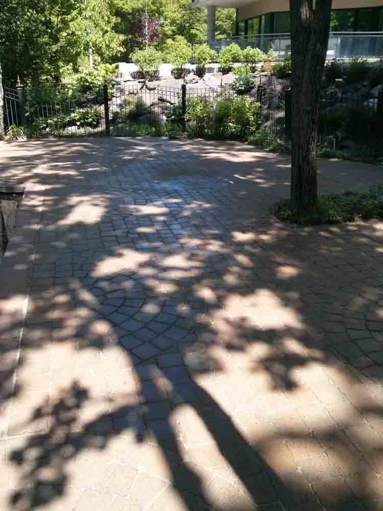 Photo Terrassement 7